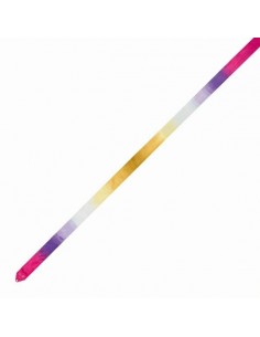 Cinta Chacott Multicolor...