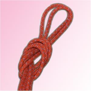 Roja con láminas de plata