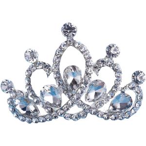 Corona Metálica Plata 001/01