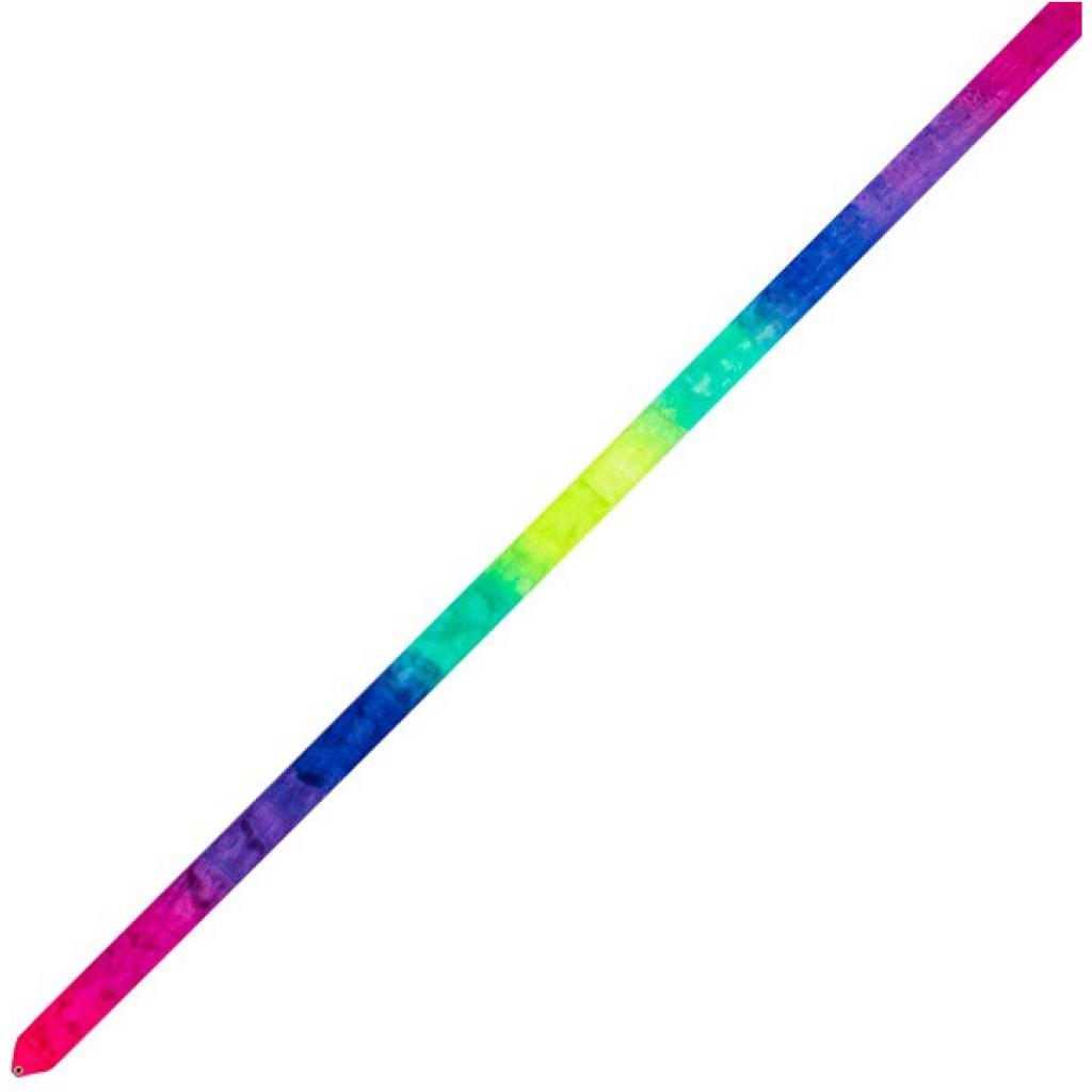 Cinta Chacott Multicolor PLUM