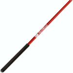 Varilla Competición Espejo Pastorelli