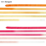 Cinta Chacott Infinity 5m